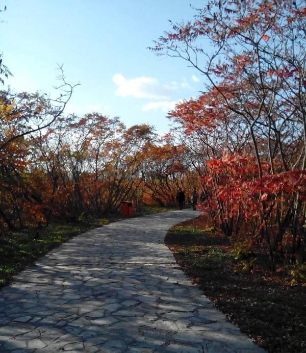 这世界怎么都是你