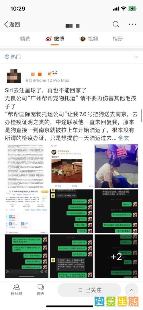 金毛托运途中死亡 市监部门介入
