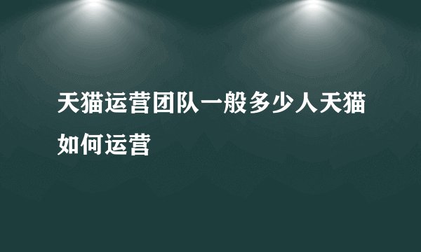 天猫运营团队一般多少人天猫如何运营