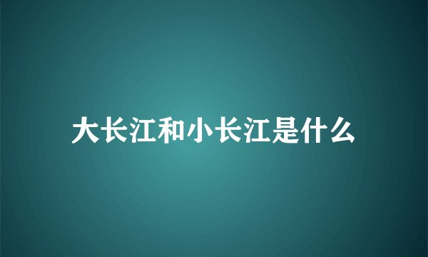 大长江和小长江是什么