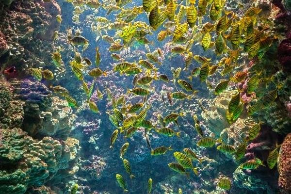青岛极地海洋世界电话号码多少
