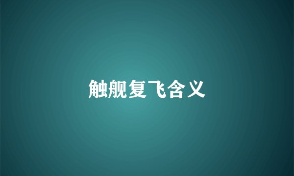 触舰复飞含义