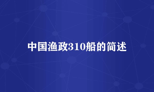 中国渔政310船的简述