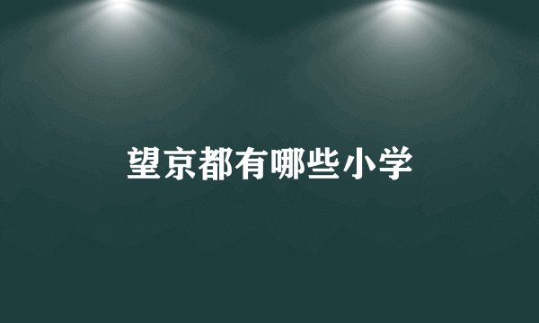 望京都有哪些小学