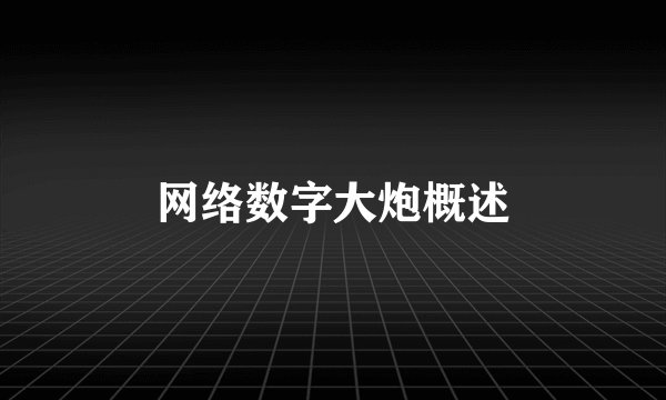 网络数字大炮概述
