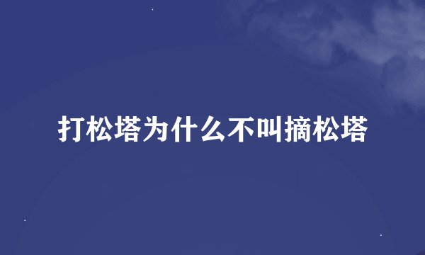 打松塔为什么不叫摘松塔