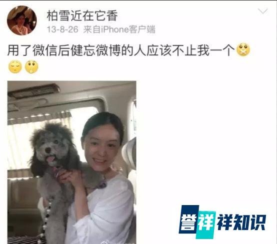 失踪8年的“小仙女”柏雪如今怎样了？