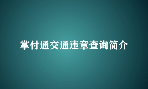 掌付通交通违章查询简介