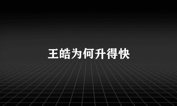 王皓为何升得快
