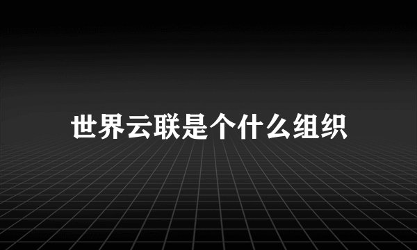 世界云联是个什么组织