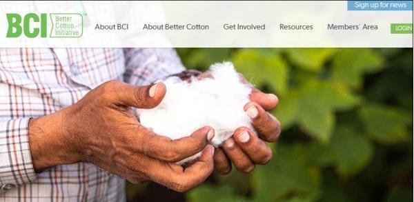 安踏将退出BCI组织 BCI究竟是个什么组织？