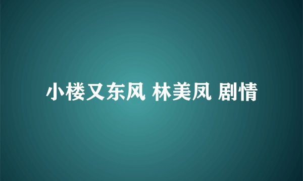 小楼又东风 林美凤 剧情