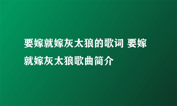 要嫁就嫁灰太狼的歌词 要嫁就嫁灰太狼歌曲简介