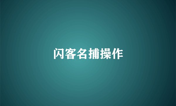闪客名捕操作