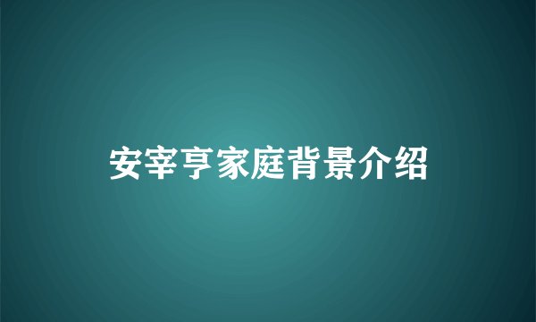 安宰亨家庭背景介绍