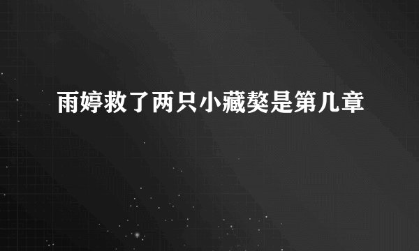 雨婷救了两只小藏獒是第几章
