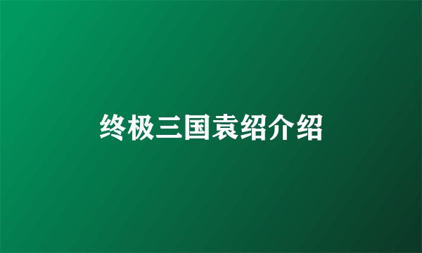 终极三国袁绍介绍