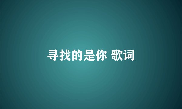 寻找的是你 歌词