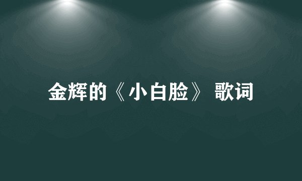 金辉的《小白脸》 歌词