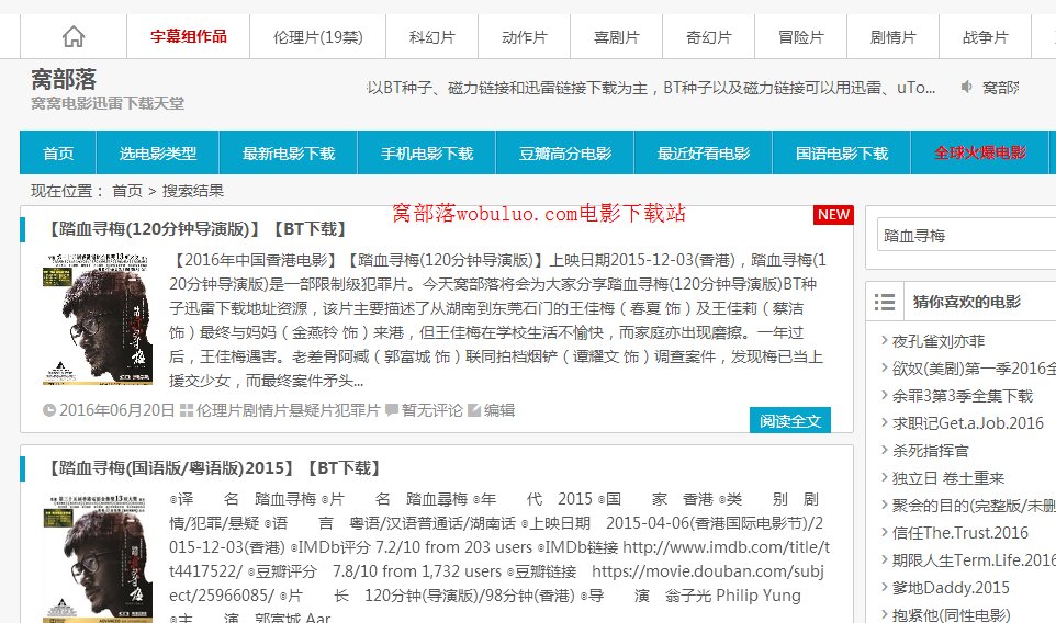 踏血寻梅高清中文百度云or迅雷下载