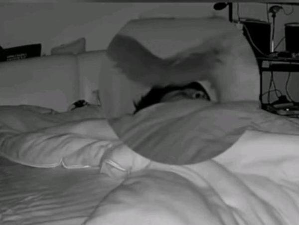 猫咪绝育后半夜偷偷放屁踢主人脸 这是咋情况？