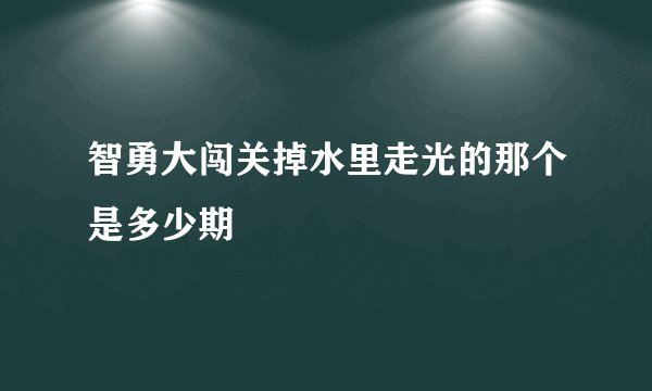 智勇大闯关掉水里走光的那个是多少期