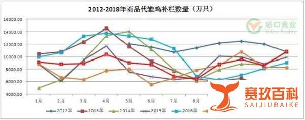 蛋先生：老鸡何时淘，利润最大化？淘鸡价走势分析