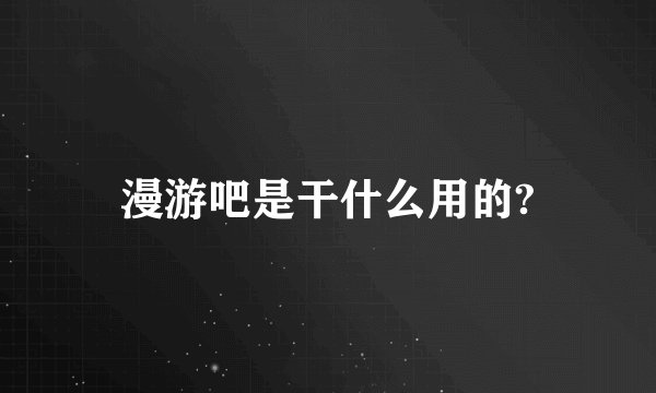 漫游吧是干什么用的?