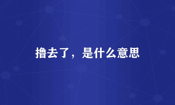 撸去了，是什么意思