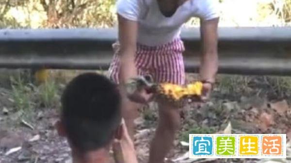 相关部门介入主播直播吃象群食物 这是咋情况?
