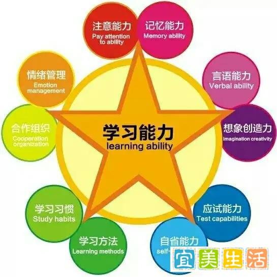 学习教练是干啥的?