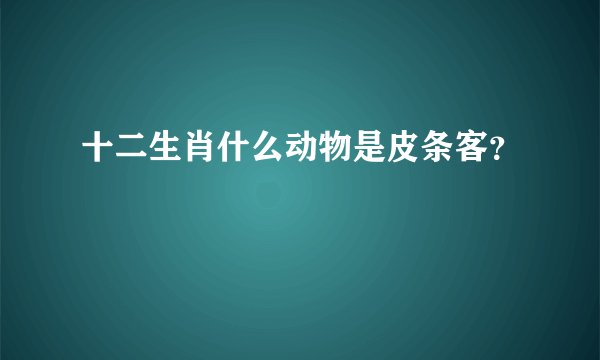 十二生肖什么动物是皮条客？