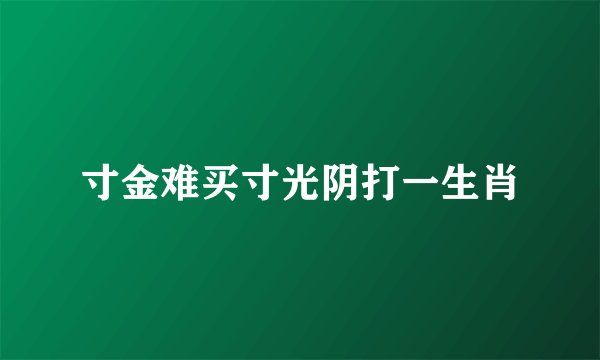 寸金难买寸光阴打一生肖