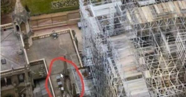 惊呆了!18万只蜜蜂还活着 这到底是个什么梗?