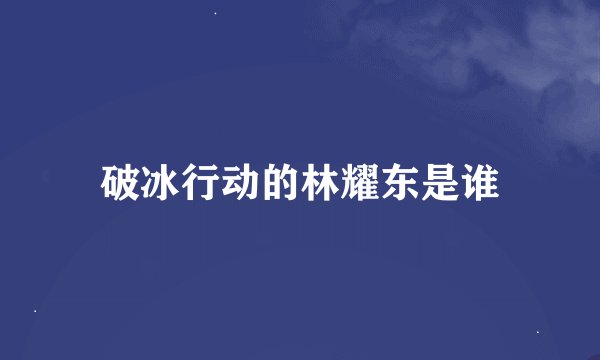 破冰行动的林耀东是谁