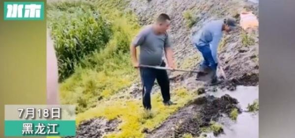 两男子挖堤坝灌溉玉米地，小溪瞬间变瀑布，全村庄稼都被淹了
