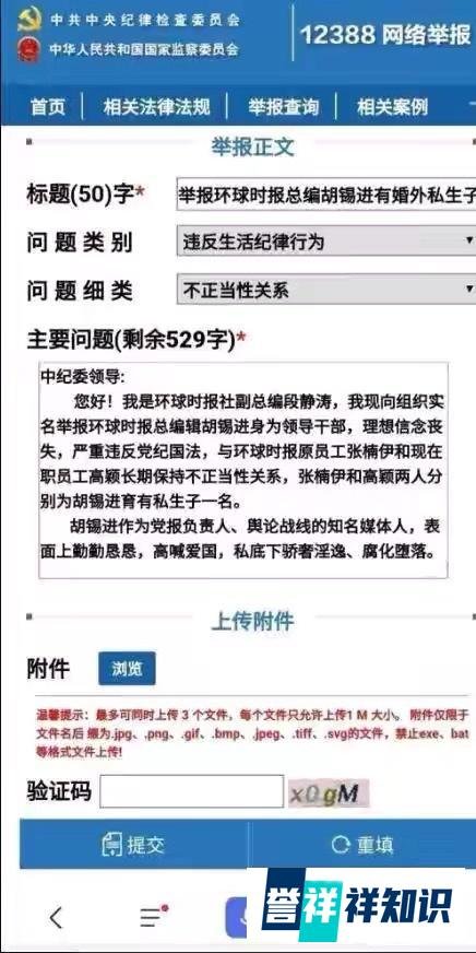 《环球时报》总编辑胡锡进被女下属举报有私生子！胡锡进回应！