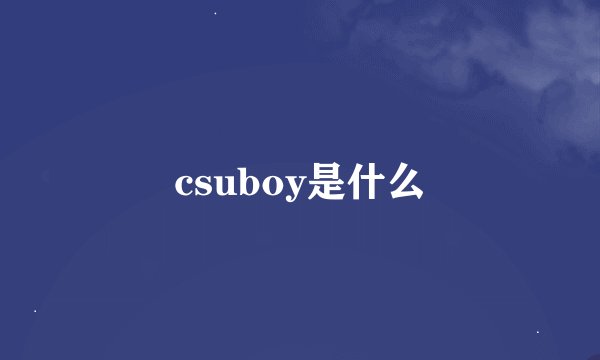 csuboy是什么