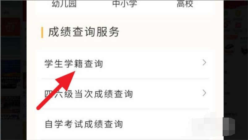 输入身份证号查学籍号?