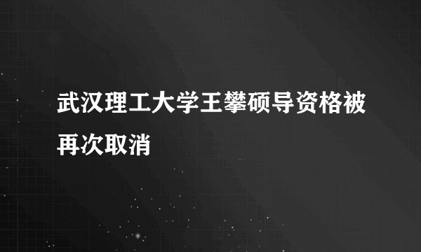 武汉理工大学王攀硕导资格被再次取消