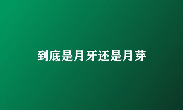 到底是月牙还是月芽