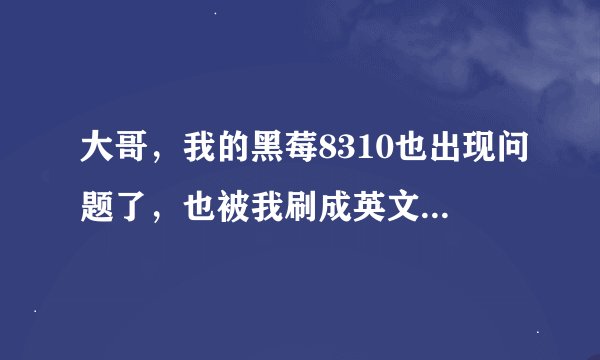 大哥,我的黑莓8310也出现问题了,也被我刷成英文了,怎么刷回来呀,帮个忙吧,先谢谢了,我QQ1337077366