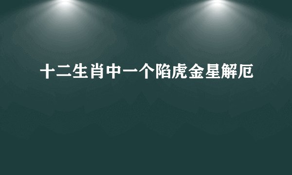 十二生肖中一个陷虎金星解厄