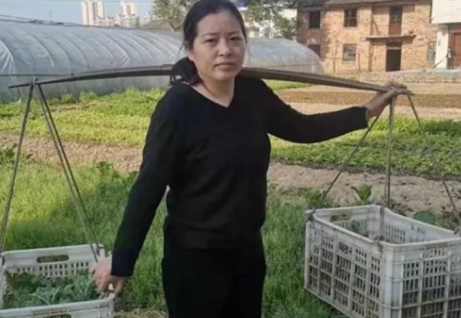 妻子接手亡夫工厂1年还债110万!这名女子是如何做到的?