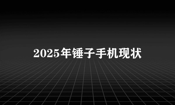 2025年锤子手机现状