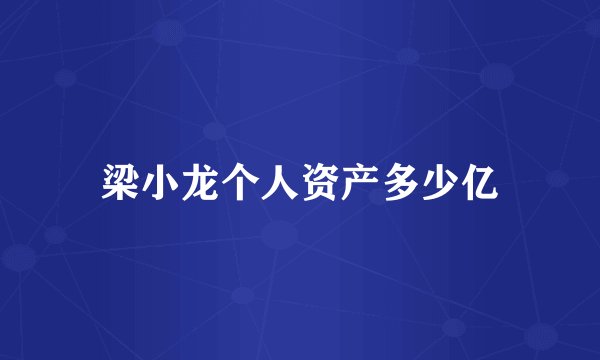梁小龙个人资产多少亿