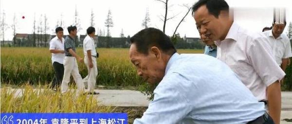 袁隆平77岁曾走遍上海超级稻农田 这是咋情况?
