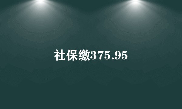 社保缴375.95
