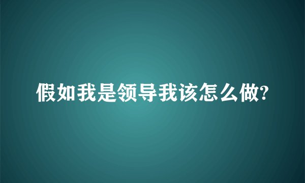 假如我是领导我该怎么做?