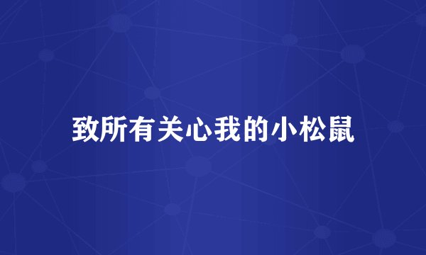 致所有关心我的小松鼠